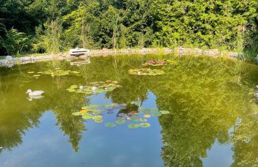 Moderne, ruhige Ferienwohnung , ideal zum Abschalten - Foto 12