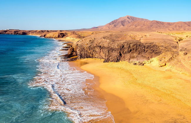 Palmeras Garden - Foto 69