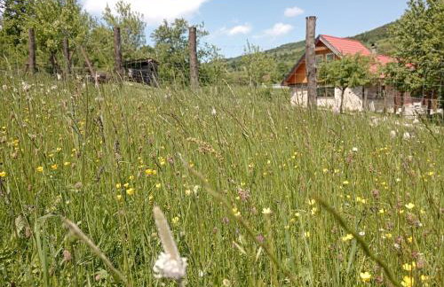 Kuća za odmor Dangubica - Photo 7