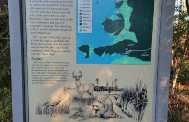 Marsh House, HOT TUB, Waterfront, KING bed, Close to Lejeune, - Foto 31