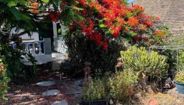 CASA RURAL en Santa Cruz - Foto 3