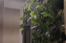 Ευρύχωρο και άνετο διαμέρισμα στην Ιτέα Joanna's Apartment - Foto 26