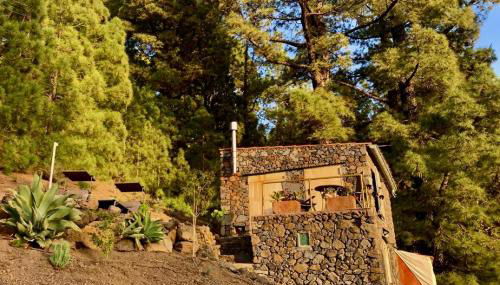 Tiny House Vogelnest - Foto 4, Garden, Garden view