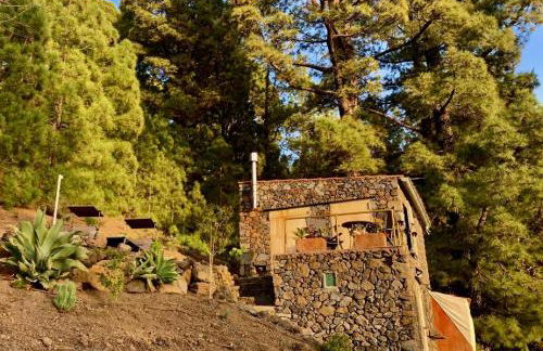 Tiny House Vogelnest - Foto 4