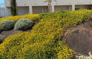 Studio en bord de mer sur Costa Serena N54 - Foto 9