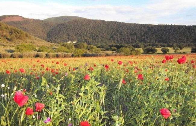 Scenic Stay in Spoleto - Foto 31