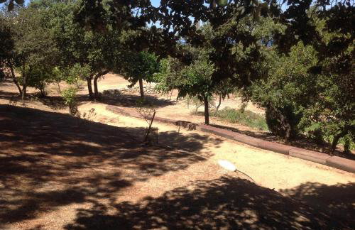 Villa A Scopa à Lumio en Corse avec piscine chauffée, vue mer panoramique, climatisation, jardin arboré de 3000m2, 10 pers, 5 Chb, 4 Sdb - Foto 61