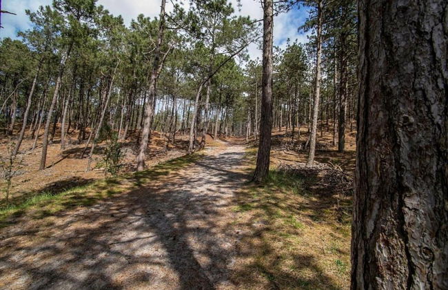 Holiday Home in Schoorl Near Sandy Beaches - Foto 24