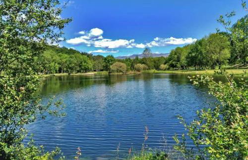 EntreVillas Alojamento Local, apartamento T2 - Foto 17