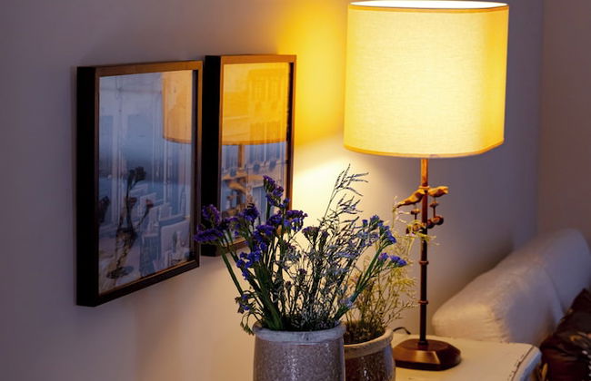 Zur Suítes - Foto 22