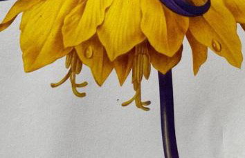 Berlinapartments-Downtown - Foto 11