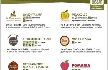 Chalet Migazzi - Foto 35