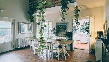 Villa Oliviana - Foto 3