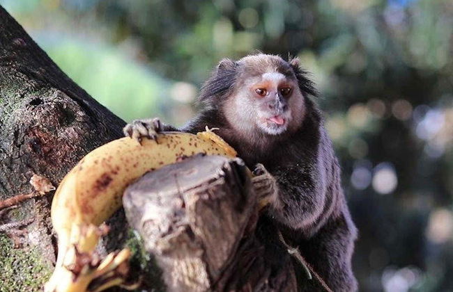 Santarém Rivers Tour - Photo 8