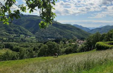 Il Borrino - Foto 21