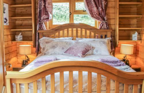 Manor Farm Lodges - Dragon Lodge - Foto 10