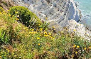 Apartment with Sea View, Lido Rossello - Foto 60