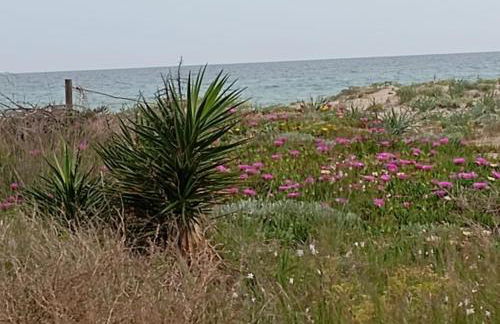 Loft con encanto en Creixell - Foto 27