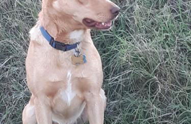 Agriturismo Podernuovo - Foto 27