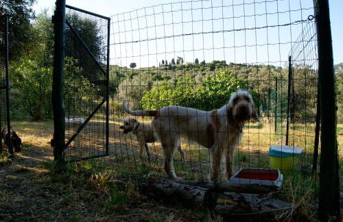 Dolce Vita - Foto 64