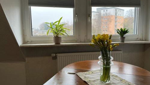 Dachgeschosswohnung im 3-Städteeck - Foto 4