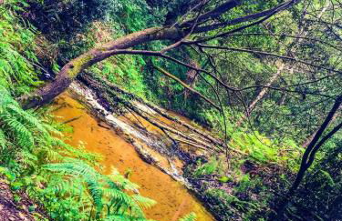 Golden Stone Beach Retreat - Foto 34