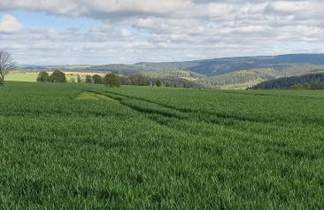 Zum Elleblick - Foto 47