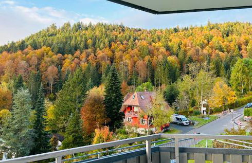 Ferienwohnung Panoramablick - super für deine Familie und die besten Aussicht in ganz Todtmoos - Foto 39