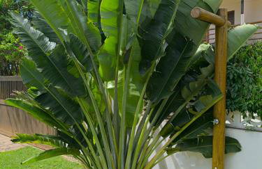 CASA MAR DOCE LAR GOSTOSO - A 150M DA PRAIA - Foto 16