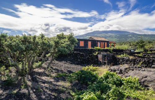 Paraíso do Triângulo - Photo 27