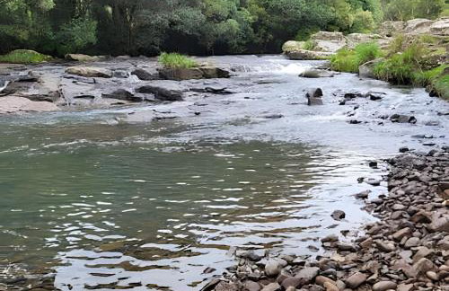 Cabana Pequeno Bosque som dás Águas - Foto 39