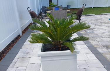 NICE PLACE Studio1 of 2 - Foto 18