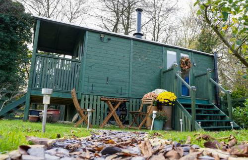 Shepherds hut, Eco, Log burner Hot tub NY moors - Foto 42
