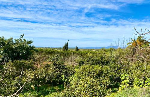 Hotel Rural Son Terrassa - Foto 34