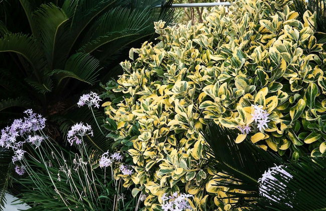 Family Friendly Villa Bluefairy With Private Pool, Near Restaurants & Beach - Foto 32