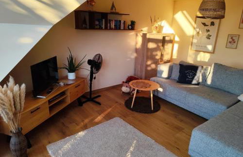 FeWo - SEEnsucht am Zwenkauer See - Foto 10