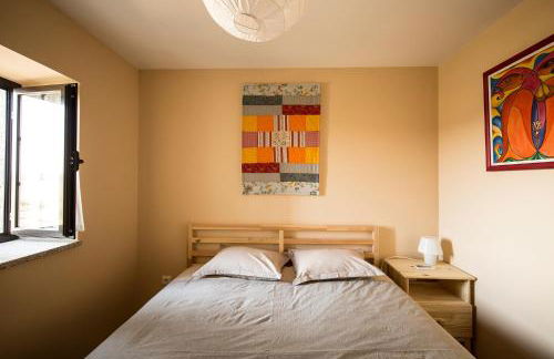 SAQA Organic Farm - Foto 37