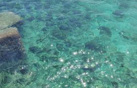 east coast house - Foto 22