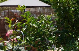 Oneiropetra Luxury House - Foto 79