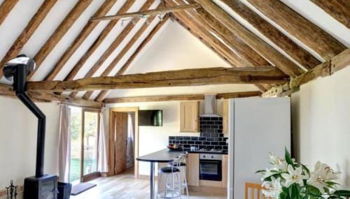 NEW Cosy cottage - Lake view & Log Burner - Dog proof garden - Foto 4