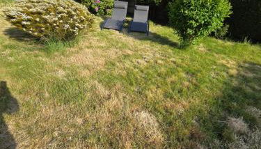 Les Broutays - Foto 4