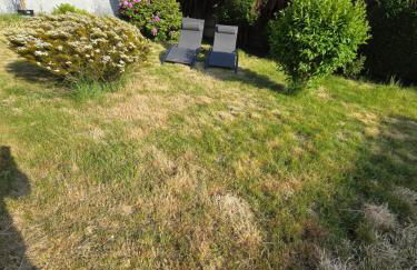 Les Broutays - Foto 4