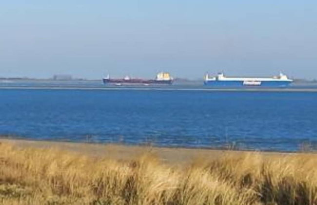 Holiday Home in Zeeland Near Lake - Foto 33