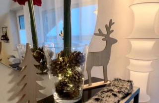 Fernblick Allgäu - Photo 10