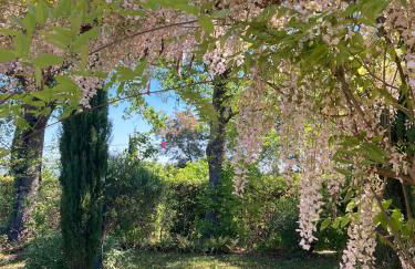 Tenuta Poggio alla Farnia - Foto 14