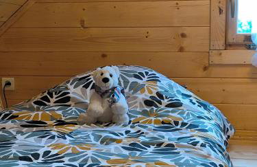 Le nid nature et bonheur - Photo 16