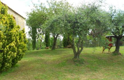 San Martin del Colle Holiday Home - Foto 45