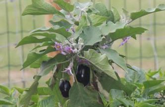 Casa dos meus avós -Villas - Gaia & Porto - Foto 53