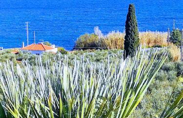 Villa Mariana - Foto 57