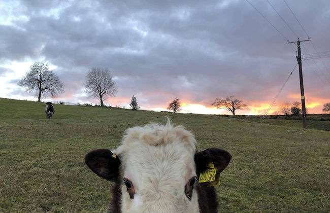 Foxglove Holiday Private Eco Accommodation - Foto 21